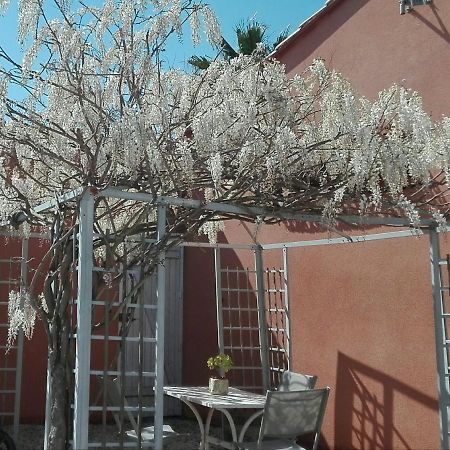 Gite Mas Uranie Le Soler Ngoại thất bức ảnh