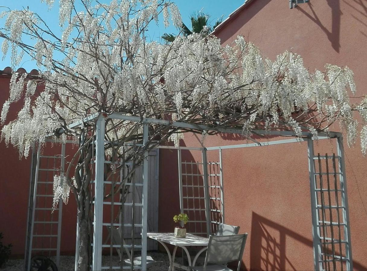 Gite Mas Uranie Le Soler Ngoại thất bức ảnh